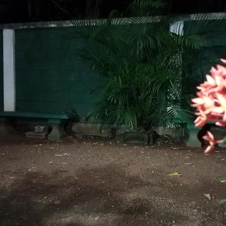 Lak View Family Resort Dambulla Buitenkant foto